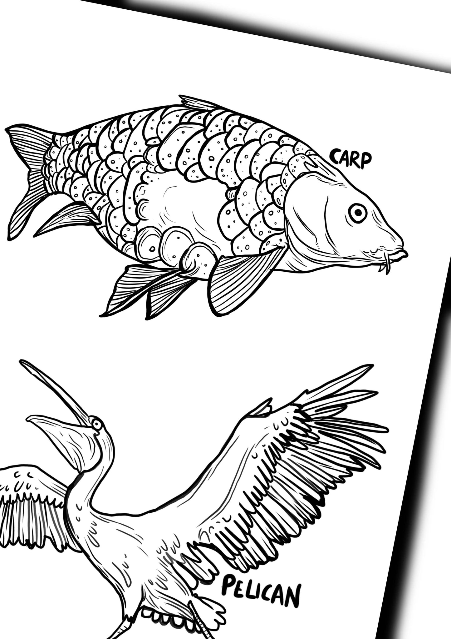 Animals Colouring Book - Awesome Animals