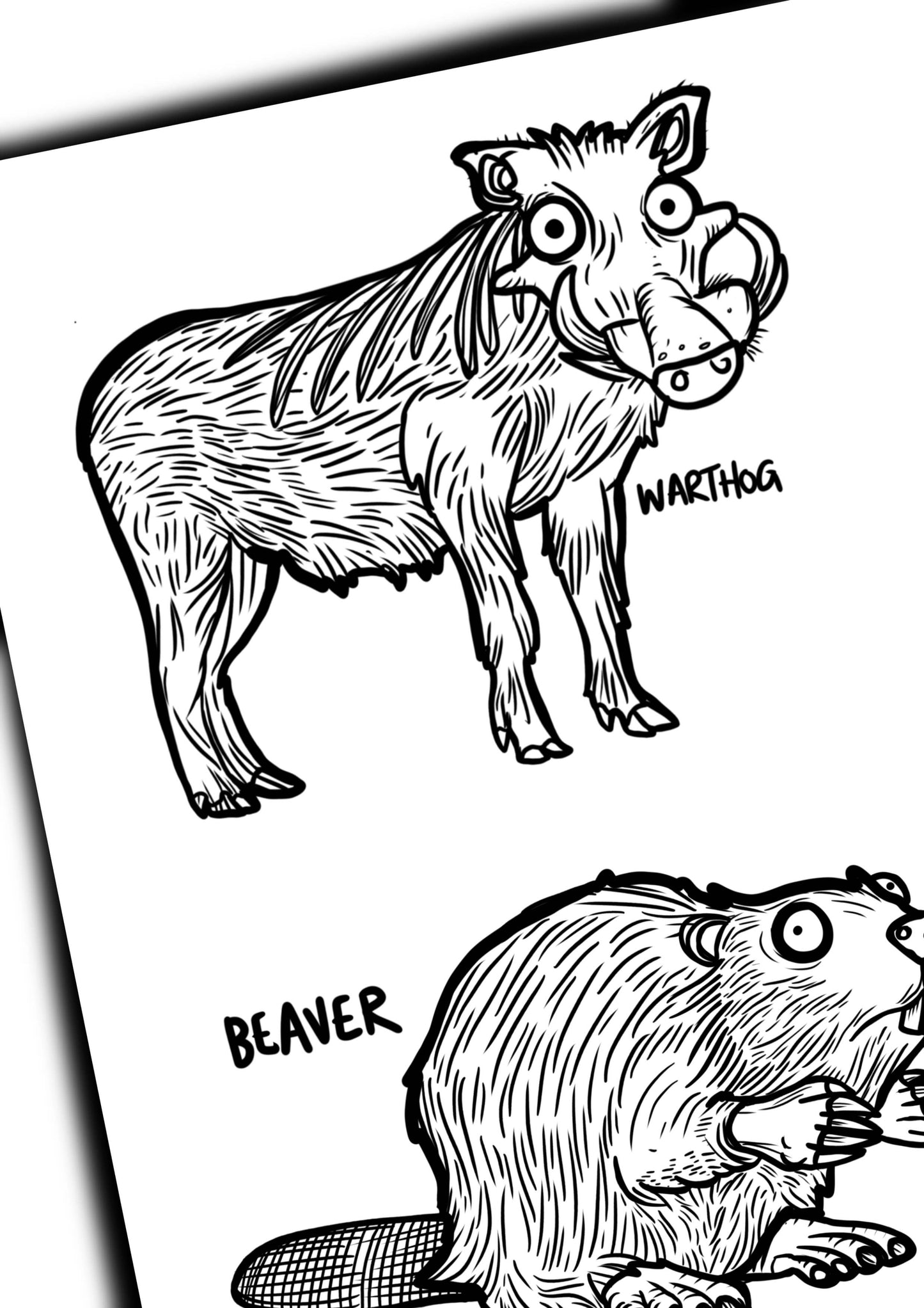 Animals Colouring Book - Awesome Animals