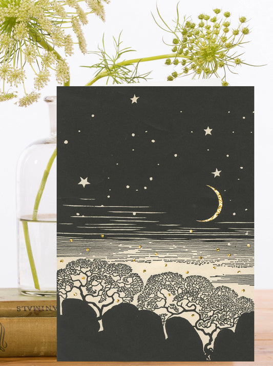 Atmospheric vintage greeting card, featuring a glorious night sky on a wintry night with twinkly gold stars.