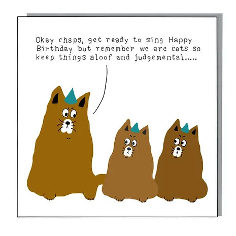 Aloof Cats Card