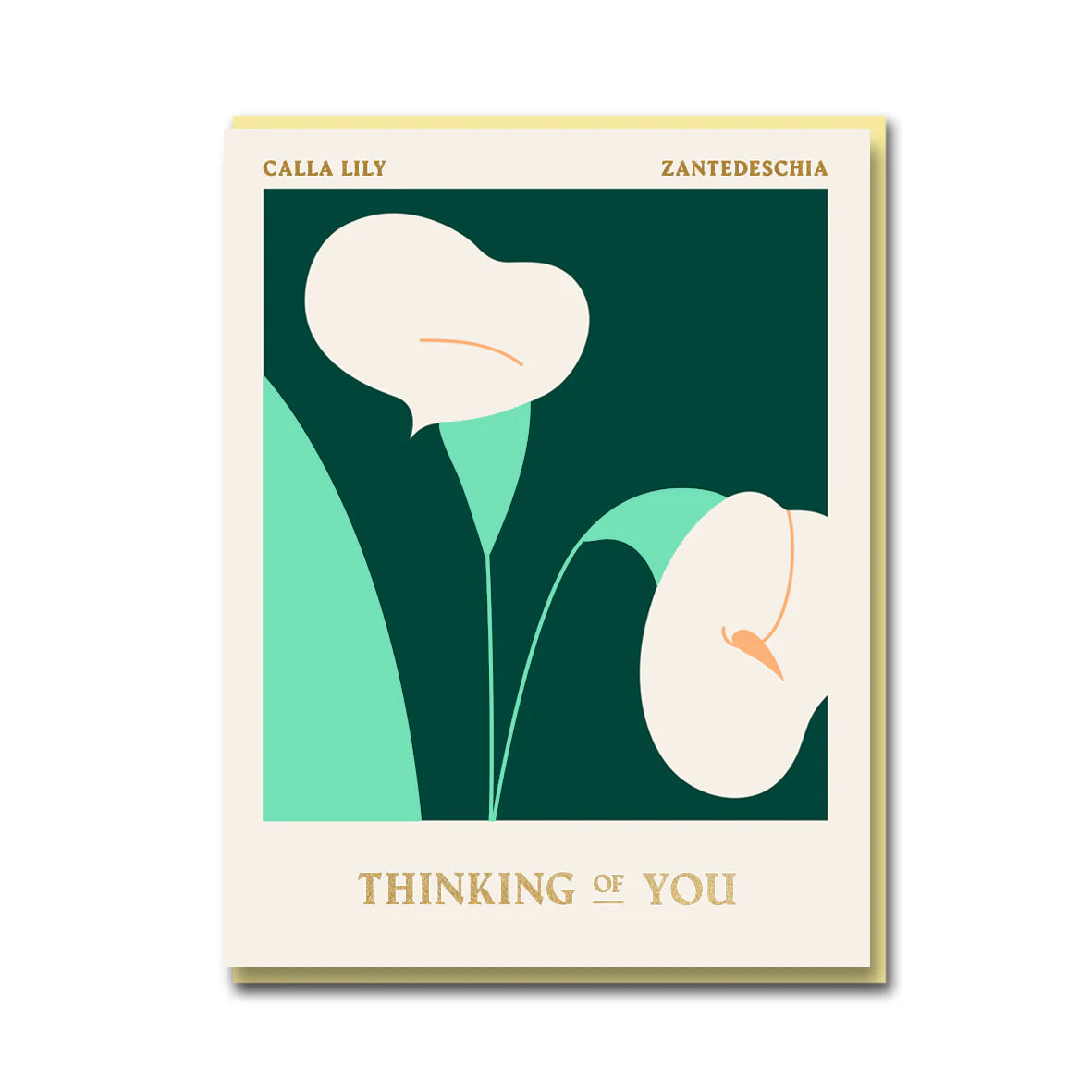 Elegant card illustrated by Darling Clementine, featuring a beautiful simple Calla Lilly and the words Thinking of You