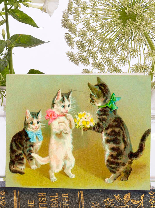 Kittens dressed up in their finest bows, with Spring flowers.