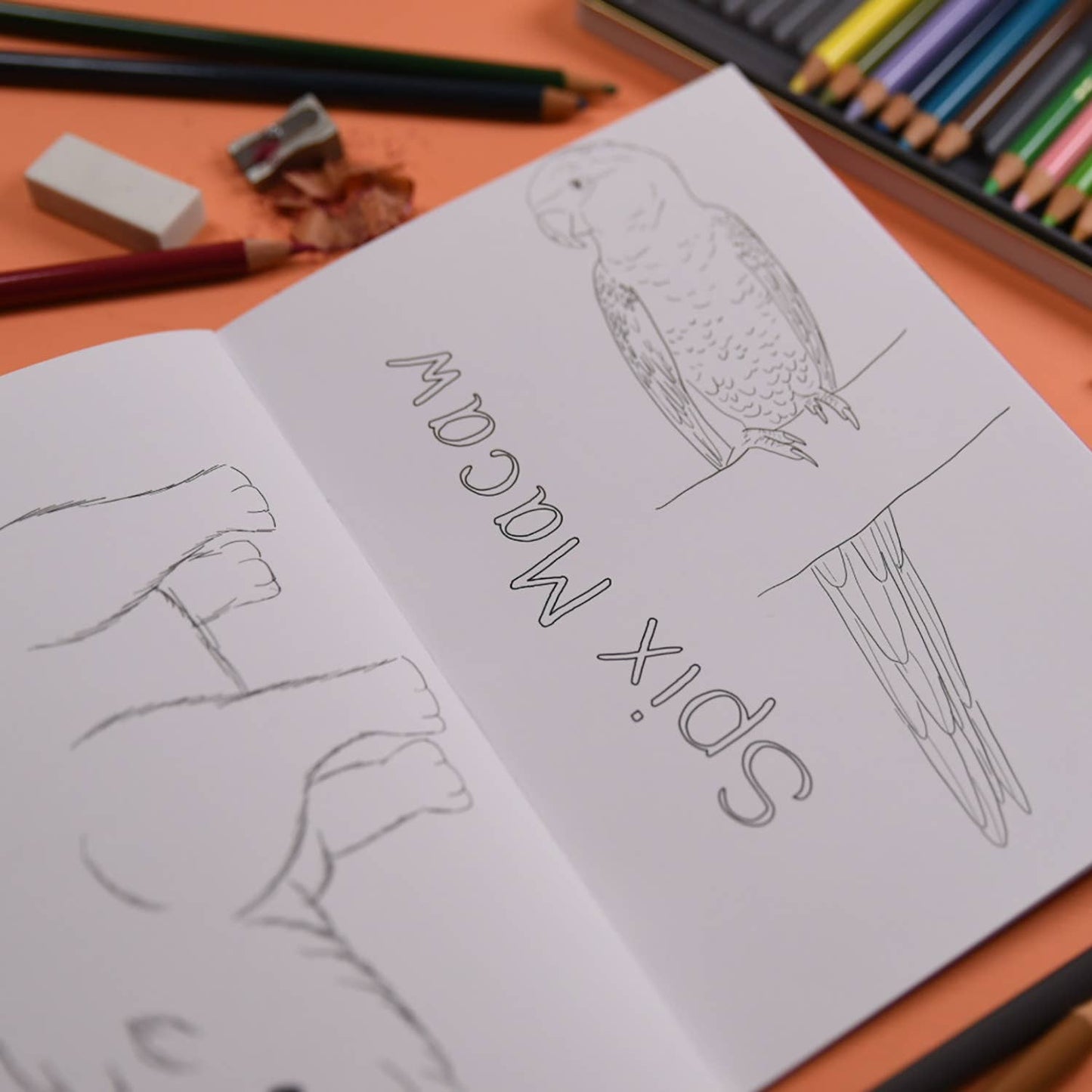 Amazing Extinct Animals Colouring Book