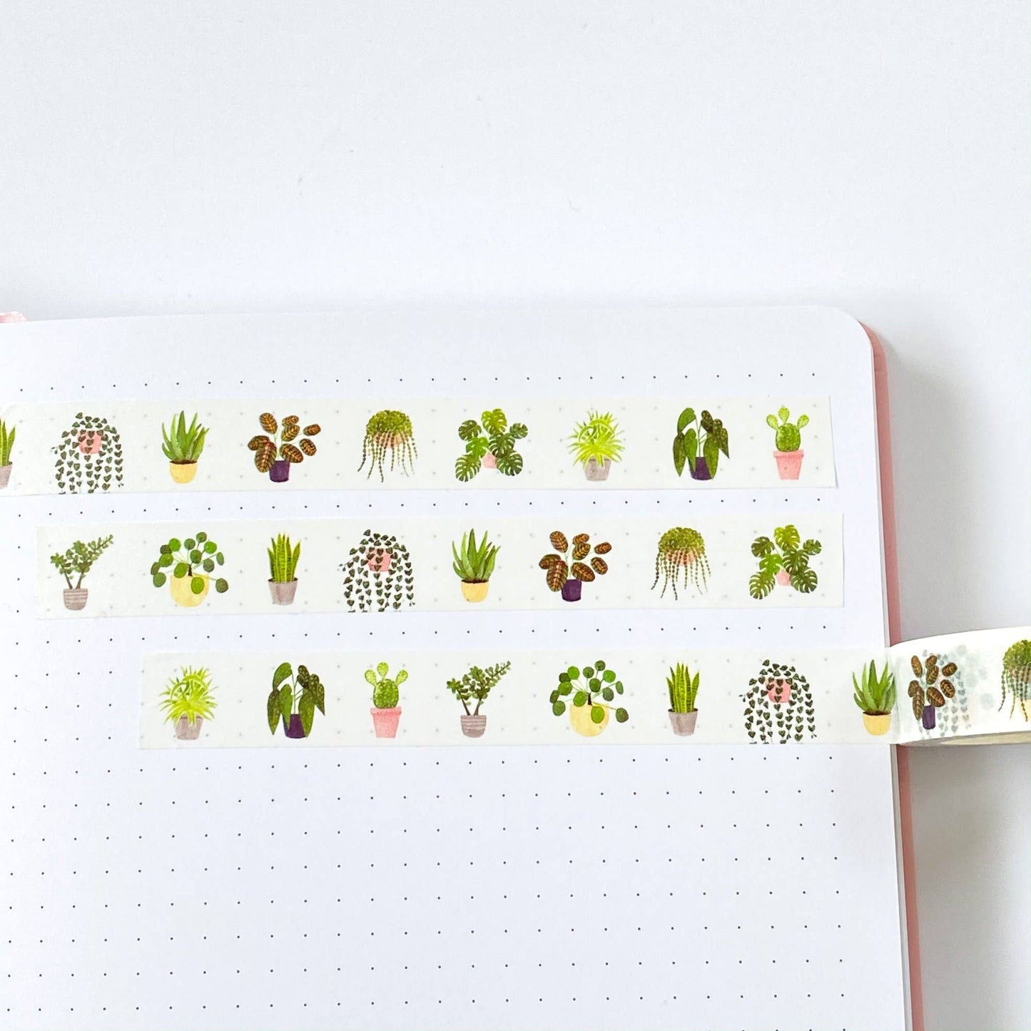 Indoor Plants Washi Tape