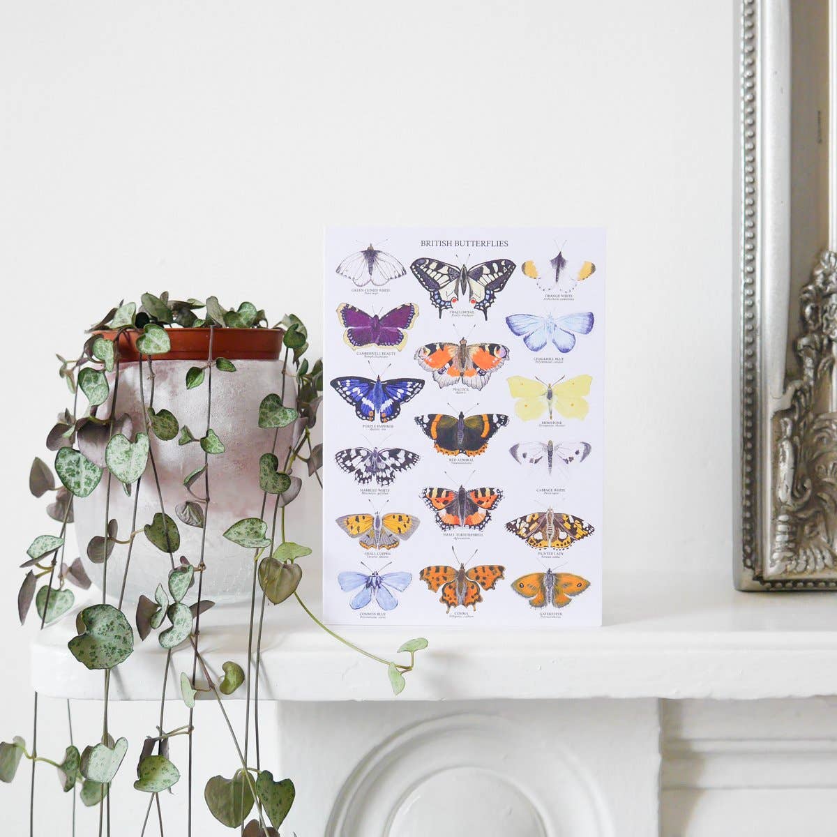 British Butterflies Greetings Card