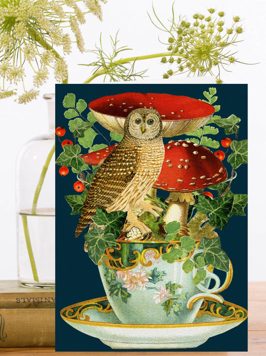 Greeting card. Who doesn't love a whimsical card of an owl perched on a vintage teacup, surrounded by wintry foliage and red toadstools. Perfect for the owl lovers and tea drinkers!