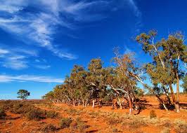 A photo of the Australian outback which is inspiration for the colours of the Landscape Jewellery collection.