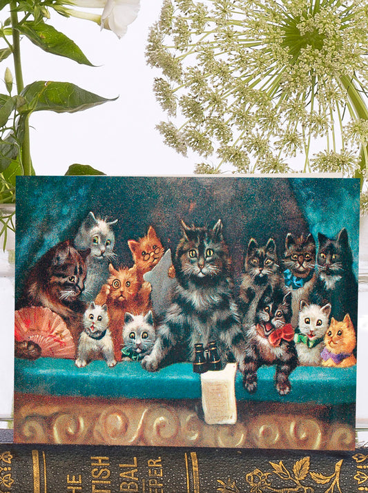 Cats at the Theatre Little Vintage  Greeting Card