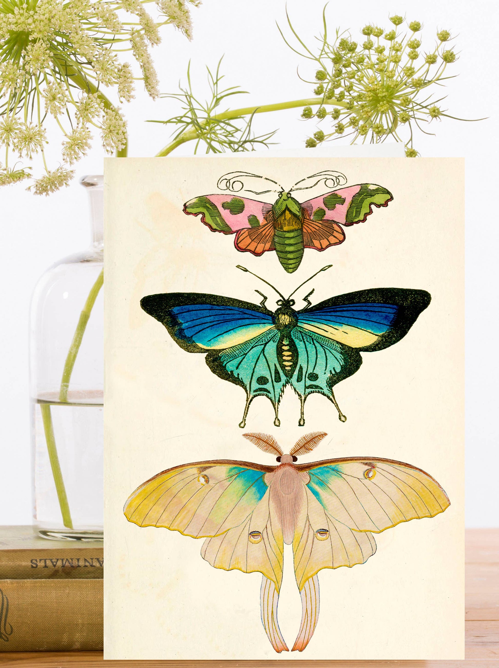 Whimsical Butterfly Greeting Card