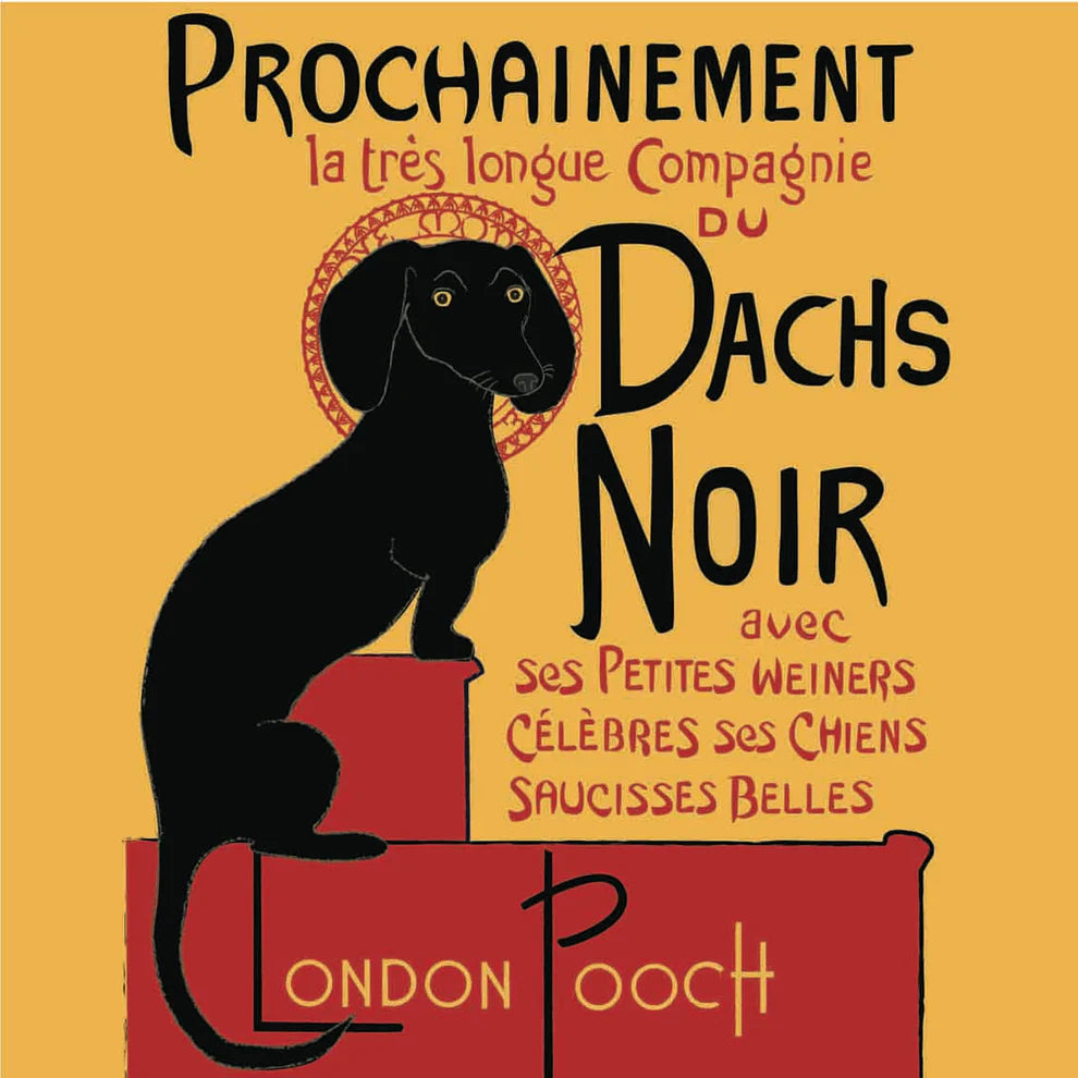 Dachs Noir Greetings Card