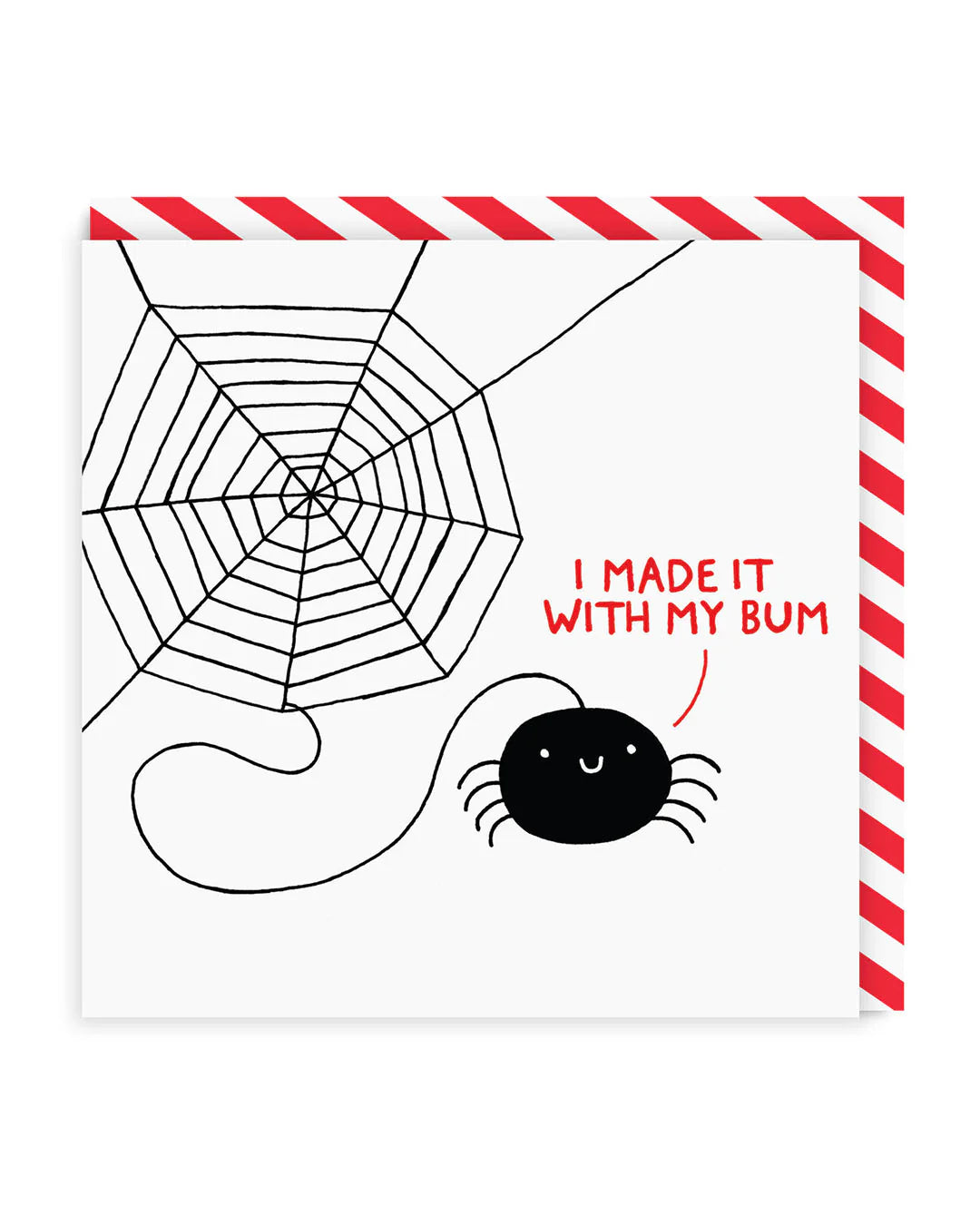 Cheeky card designed by Gemma Correll, this happy little spider has made you a birthday cobweb and she's very proud of her handy work! With the words I made it with my bum.