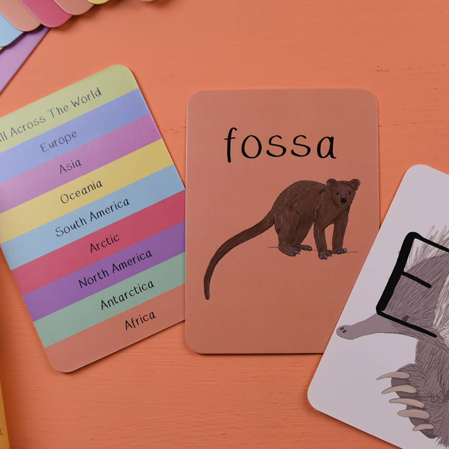 Alphabet of amazing animals flash card set. Filled with fascinating animals from around the world as a fun and educational way of not only teaching the alphabet but also introducing some truly amazing animals. The cards feature my animal illustration on one side, with the animals name and then the letters in upper and lower case, and a close up of the animal on the other side. 