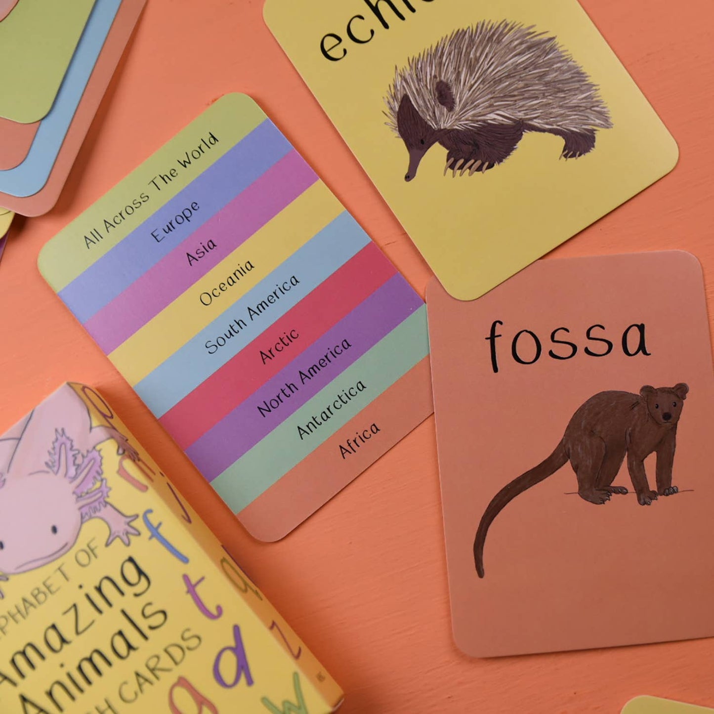 Alphabet of amazing animals flash card set. Filled with fascinating animals from around the world as a fun and educational way of not only teaching the alphabet but also introducing some truly amazing animals. The cards feature my animal illustration on one side, with the animals name and then the letters in upper and lower case, and a close up of the animal on the other side. 