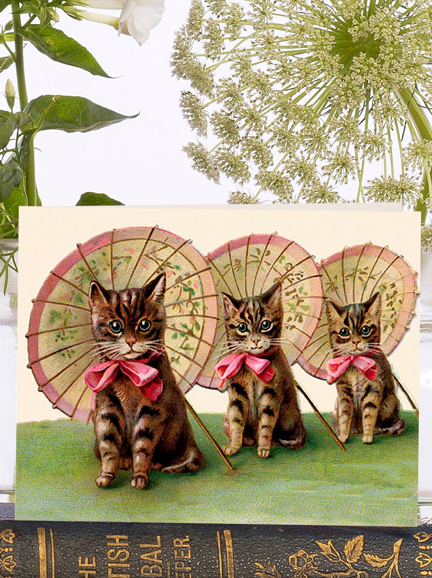 Little Vintage Three Kittens Greeting Card