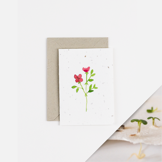 Red Rose Plantable Notecard