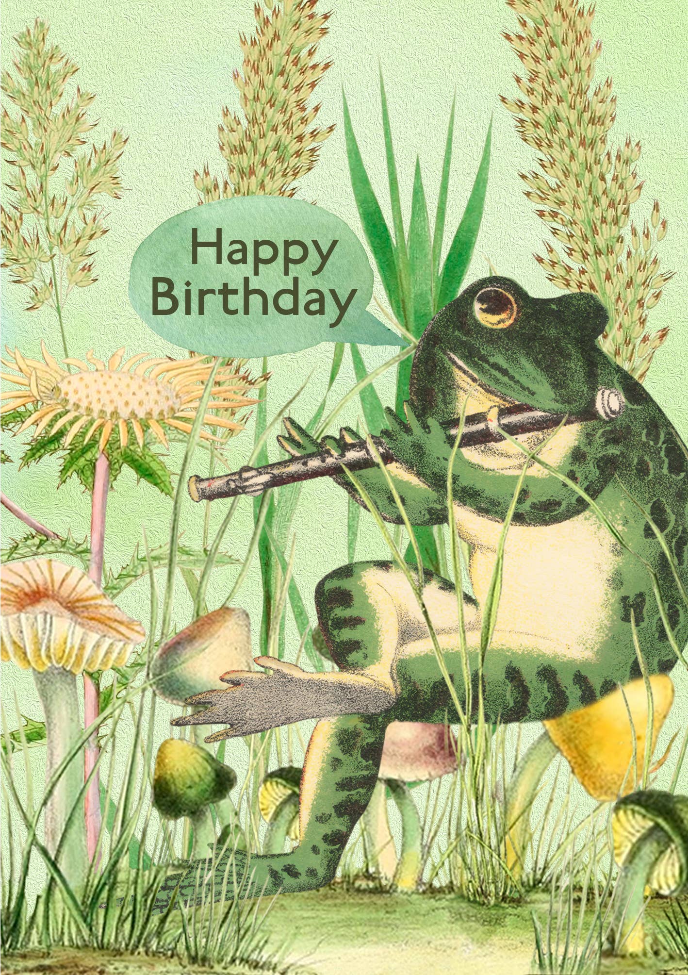 Froggie Birthday Card