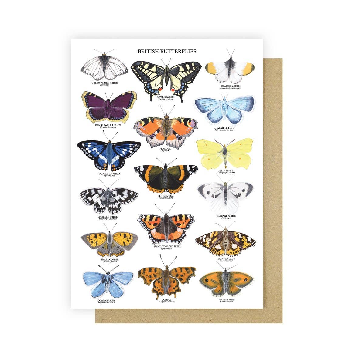 British Butterflies Greetings Card