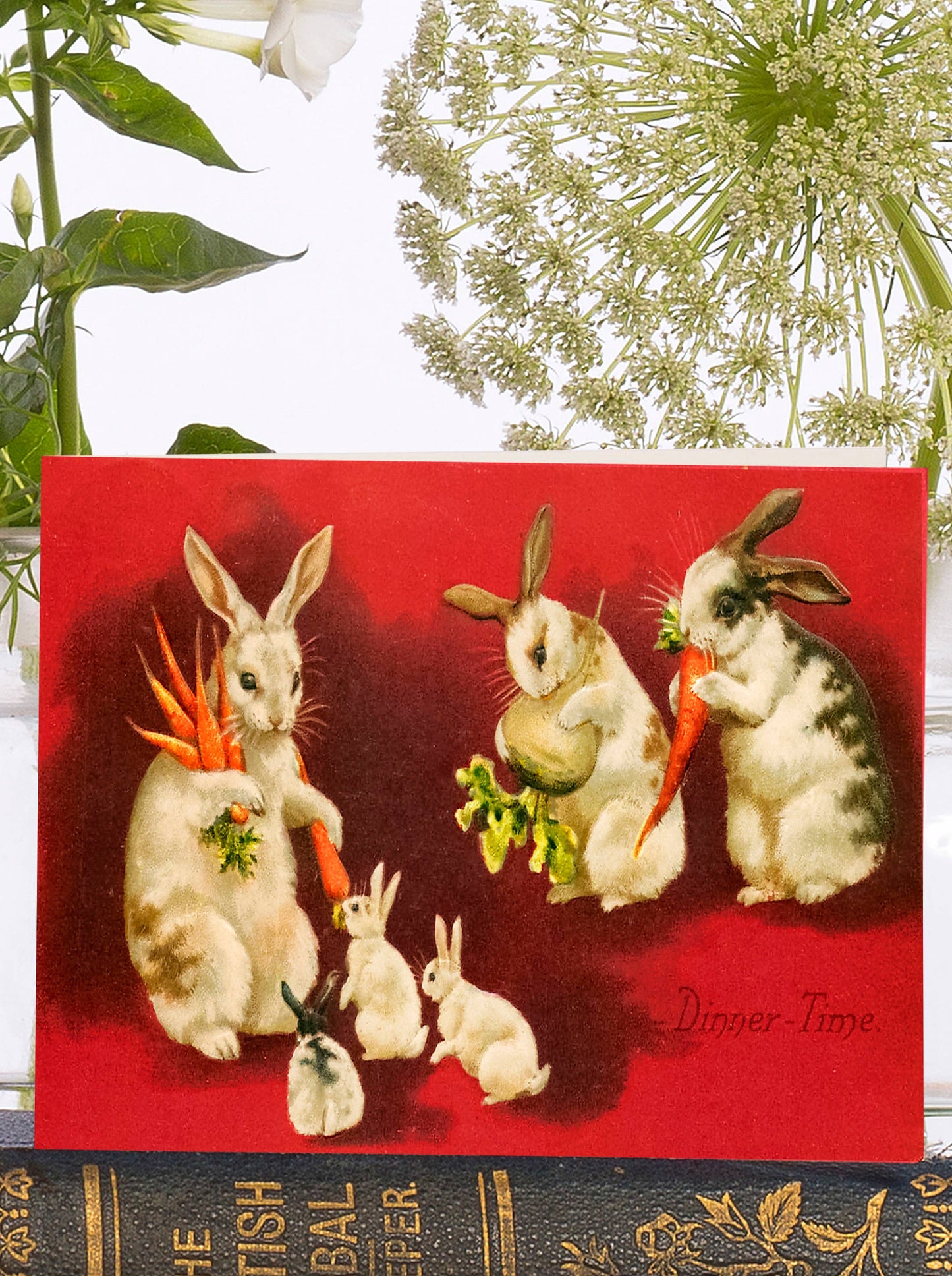 The perfect little Easter card, this vintage inspired illustration of a group of rabbits enjoying some fresh carrots.