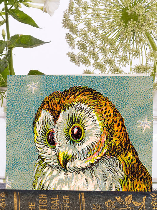 Quirky owl and starry little vintage greeting card, perfect for adding a touch of whimsy to any occasion.