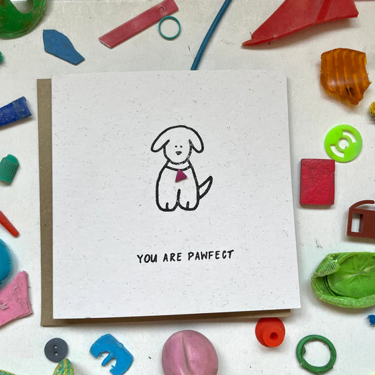 You are Pawfect Greeting Card