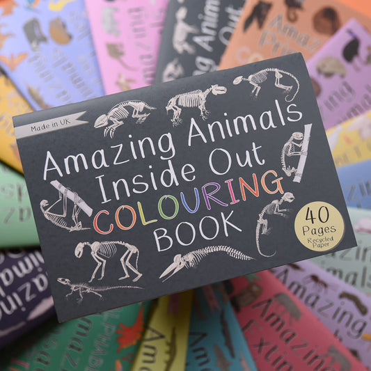 Amazing Animals Inside Out Colouring Book