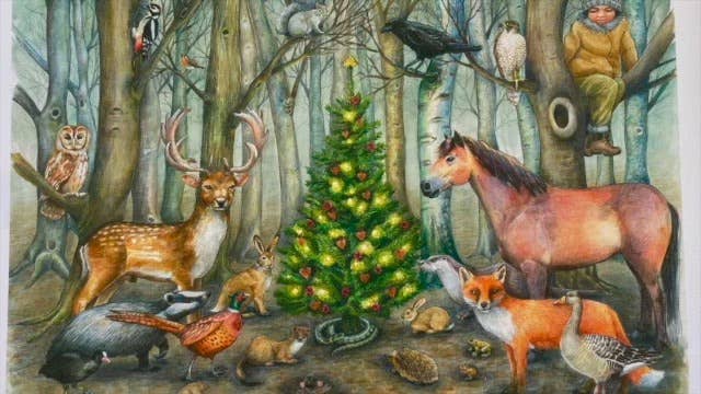 Whose Poo? Woodland Advent Calendar. Open each door and test your animal tracking skills. Can you identify which of the animals on the front of the Advent calendar have left a poo and a clue?