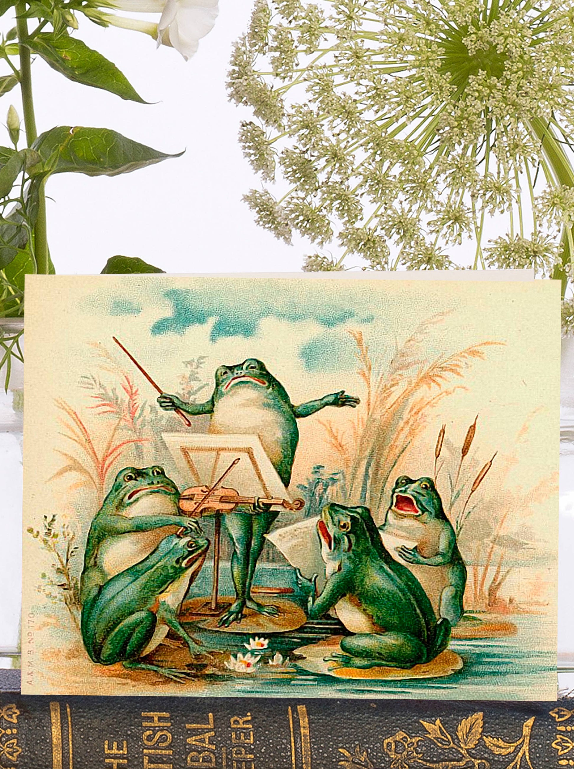 The Frog Chorus Little Vintage Greeting Card